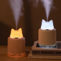Lamp pet Humidifier Car indoor night light spray 073