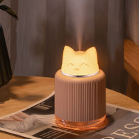 Lamp pet Humidifier Car indoor night light spray 073